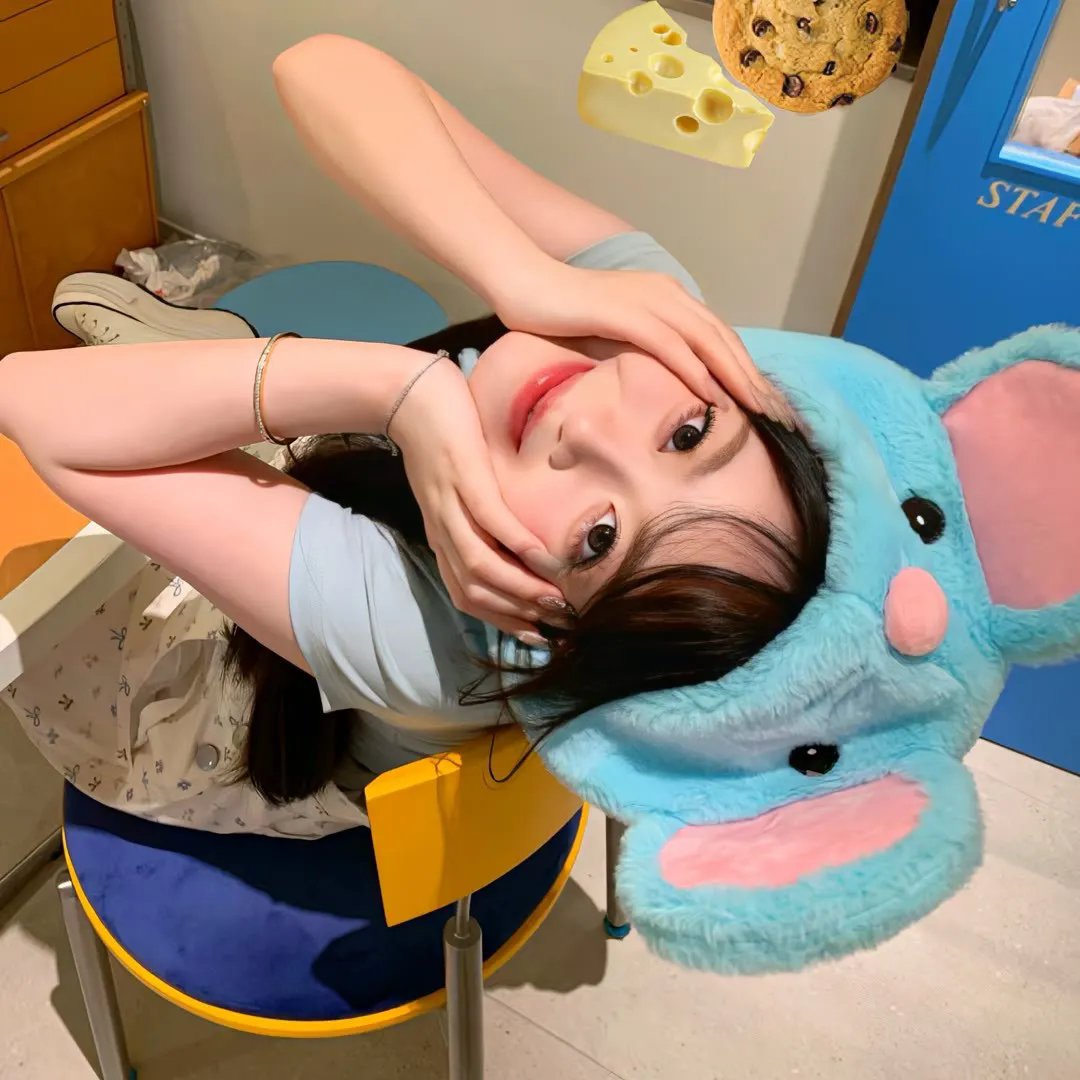 去南方